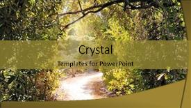  Presentation with tropical forest - Cool new slide set with people fishing on lake shoji backdrop and a light blue colored foreground