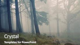  Presentation with rainforest - PPT theme enhanced with woods trees - madeira rainforest of laurisilva background and a tawny brown colored foreground