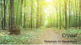  Presentation with summer - Audience pleasing PPT theme consisting of trees woods sunlight deciduous - panorama of a green summer backdrop and a mint green colored foreground