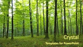  Presentation with mountains forests green forest - Theme featuring sunshine in the green forest background and a tawny brown colored foreground