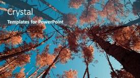  Presentation with infrared - Theme having treetops-against-the-blue-sky background and a ocean colored foreground