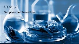  Presentation with 2020 - Colorful presentation theme enhanced with trend-color-of-the-year backdrop and a light blue colored foreground