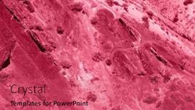  Presentation with magenta - Theme having trendy-color-of-the-year background and a coral colored foreground