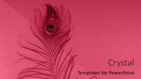  Presentation with magenta - Slide deck featuring trendy-color-of-the-year background and a red colored foreground