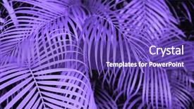 Presentation with nature design - Theme enhanced with trendy design nature and background background and a violet colored foreground