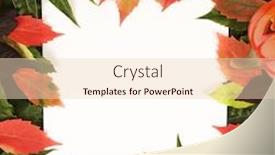  Presentation with halloween frame - Theme consisting of trendy-seasonal-halloween-colorful-text background and a lemonade colored foreground