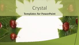  Presentation with green leaves - Amazing slides having trendy-text-frame-sweet-chestnuts backdrop and a yellow colored foreground