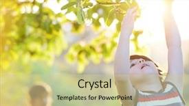  Presentation with sunshine - Audience pleasing PPT layouts consisting of tree retro style sun backdrop and a soft green colored foreground