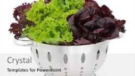  Presentation with purple green - Cool new slides with tri-colour-lettuce-of-lollo backdrop and a light gray colored foreground