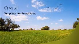  Presentation with sun desert - PPT theme having triangular-flock-of-migratory-birds background and a light blue colored foreground