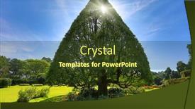 Presentation with tree - Audience pleasing slide deck consisting of triangular-tree-in-garden backdrop and a tawny brown colored foreground