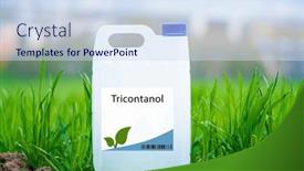  Presentation with plant growth - PPT layouts featuring tricontanol-a-natural-plant-growth background and a sky blue colored foreground