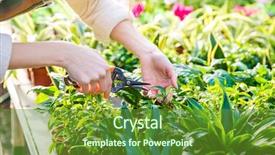  Presentation with trim - Slide set with trim - closeup of hand of woman background and a tawny brown colored foreground