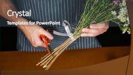  Presentation with cancer stem cells - Cool new presentation theme with trim - mid section of male florist backdrop and a ocean colored foreground