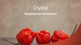  Presentation with trinidad and tobago - Amazing PPT layouts having trinidad moruga scorpion pepper mos backdrop and a coral colored foreground