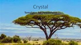  Presentation with kenya - Slide deck featuring trip-to-the-horn background and a light blue colored foreground