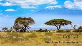  Presentation with savannah - Amazing theme having trip-to-the-horn backdrop and a gold colored foreground