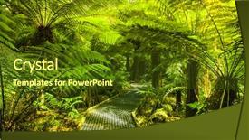  Presentation with rainforest - Presentation theme featuring navy blue - copyspace on the right side background and a lemonade colored foreground.