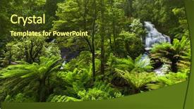  Presentation with rainforest - Audience pleasing presentation design consisting of triple saut - beautiful rainforest with waterfall backdrop and a tawny brown colored foreground