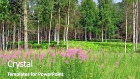  Presentation with rustic wood and flowers - Amazing PPT theme having triple saut - mauve flowerses near wood backdrop and a  colored foreground