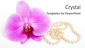  Presentation with pearl - Audience pleasing slides consisting of triple saut - orchid with a pearl necklace backdrop and a  colored foreground