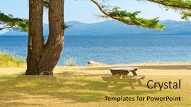  Presentation with palm tree - Amazing presentation having triple saut - picnic table in shade backdrop and a yellow colored foreground