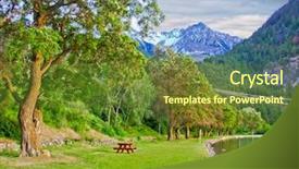  Presentation with beach palm tree wedding - Slide deck enhanced with triple saut - picnic table over a tree background and a tawny brown colored foreground