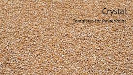  Presentation with wheat - Beautiful PPT theme featuring triticum - crushed spelt wheat raw spelt backdrop and a coral colored foreground