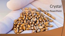  Presentation with latex gloves - Presentation design enhanced with triticum - hand in latex gloves holding background and a lemonade colored foreground