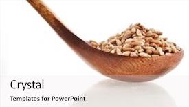  Presentation with food grains - Cool new PPT theme with triticum - portion of grains spelt popular backdrop and a white colored foreground
