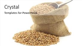  Presentation with bag - Cool new presentation design with triticum - spelt in a burlap bag backdrop and a  colored foreground