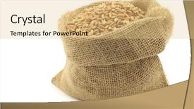  Presentation with bag - Presentation theme consisting of triticum - spelt in a burlap bag background and a  colored foreground