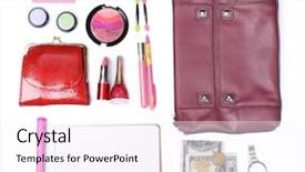  Presentation with racism white hands in modern - Cool new PPT theme with trivia - ladies handbag and things backdrop and a sky blue colored foreground