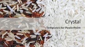  Presentation with organic rice - PPT layouts with troism - thai red jasmine and fragment background and a light gray colored foreground