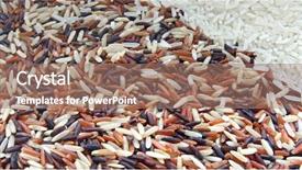  Presentation with organic rice - PPT layouts featuring troism - thai red jasmine and fragment background and a coral colored foreground