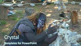  Presentation with renaissance - Presentation design with drug addiction - bioscience - transparent yellow pills background and a tawny brown colored foreground