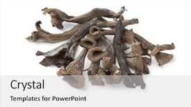  Presentation with mushrooms - Theme featuring trompeta - whole fresh horn of plenty background and a  colored foreground