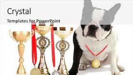  Presentation with medal - Slide deck enhanced with trophy cups and medal background and a white colored foreground