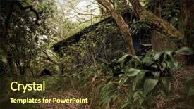  Presentation with scary forest - Cool new presentation theme with tropic rain forest with trees backdrop and a tawny brown colored foreground