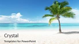  Presentation with republic dominican - Presentation theme having tropical - palm on the beach dominican background and a cream colored foreground