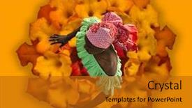  Presentation with colorful flower - Slides having tropical african american caribbean dancers background and a gold colored foreground