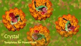  Presentation with colorful flower - PPT layouts featuring tropical african american caribbean dancers background and a  colored foreground