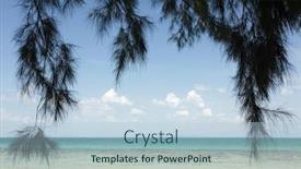  Presentation with pine - Beautiful theme featuring tropical-beach-and-filao-pine backdrop and a light blue colored foreground