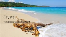  Presentation with ocean - Cool new presentation theme with tropical-beach-and-ocean backdrop and a soft green colored foreground