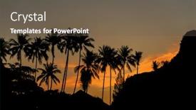 Presentation with tropical beach sunset - Colorful theme enhanced with los angeles palm tree - tropical beach at sunrise sunset backdrop and a tawny brown colored foreground