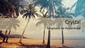  Presentation with beach palm tree wedding - Colorful slide set enhanced with tropical beach background with palm backdrop and a  colored foreground