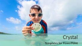  Presentation with tropical beach party - Cool new PPT theme with tropical beach holding sand dollar backdrop and a mint green colored foreground