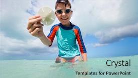  Presentation with tropical beach party - Beautiful PPT theme featuring tropical beach holding sand dollar backdrop and a light blue colored foreground