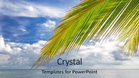  Presentation with palm tree - Beautiful PPT theme featuring tropical beach in dominican republic backdrop and a light blue colored foreground