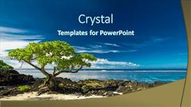  Presentation with south beach - Theme having tropical-beach-on-south-side background and a dark gray colored foreground